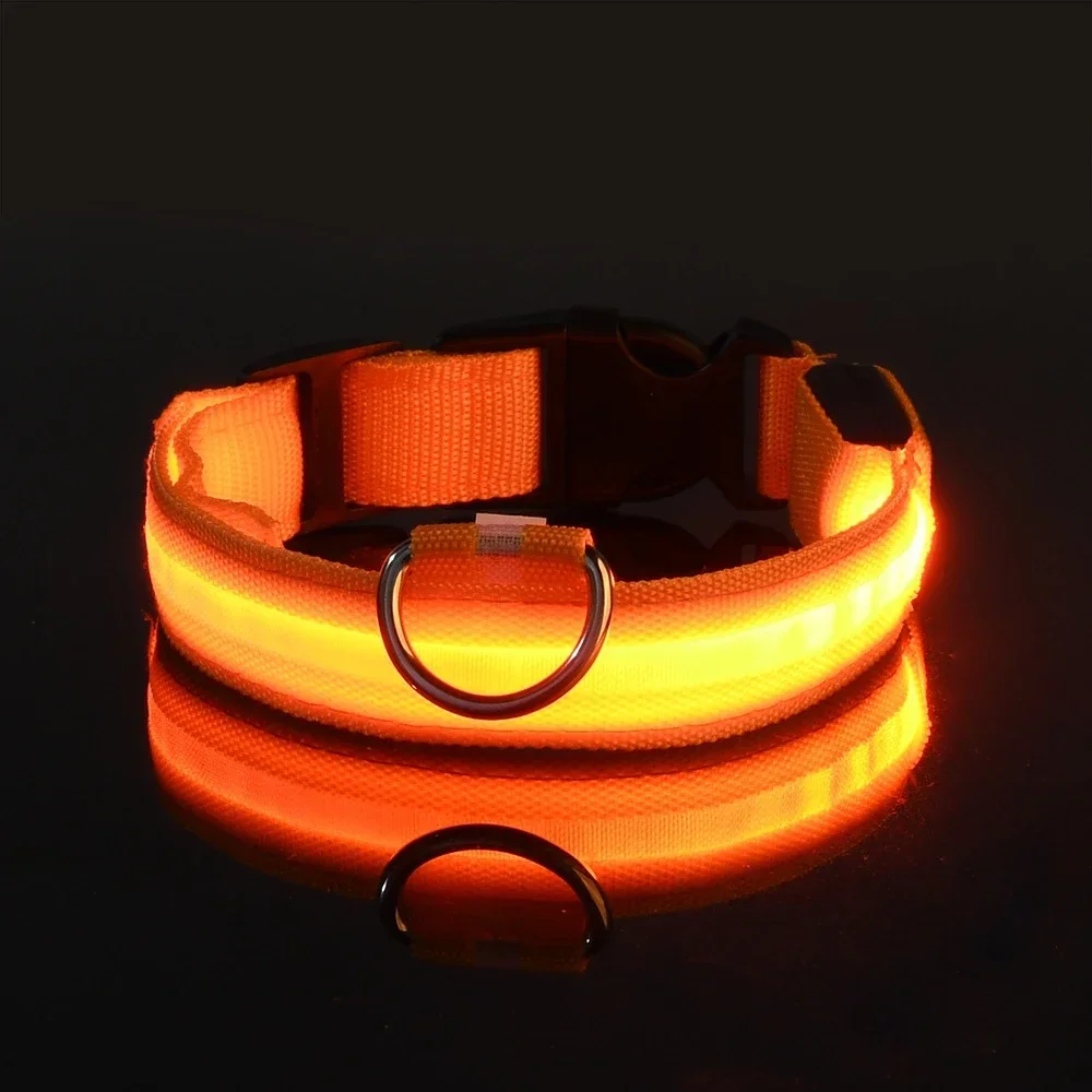 Collar de Nailon con Luz LED de Seguridad para Perros - Imagen 11