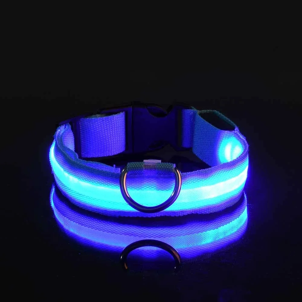 Collar de Nailon con Luz LED de Seguridad para Perros - Imagen 7