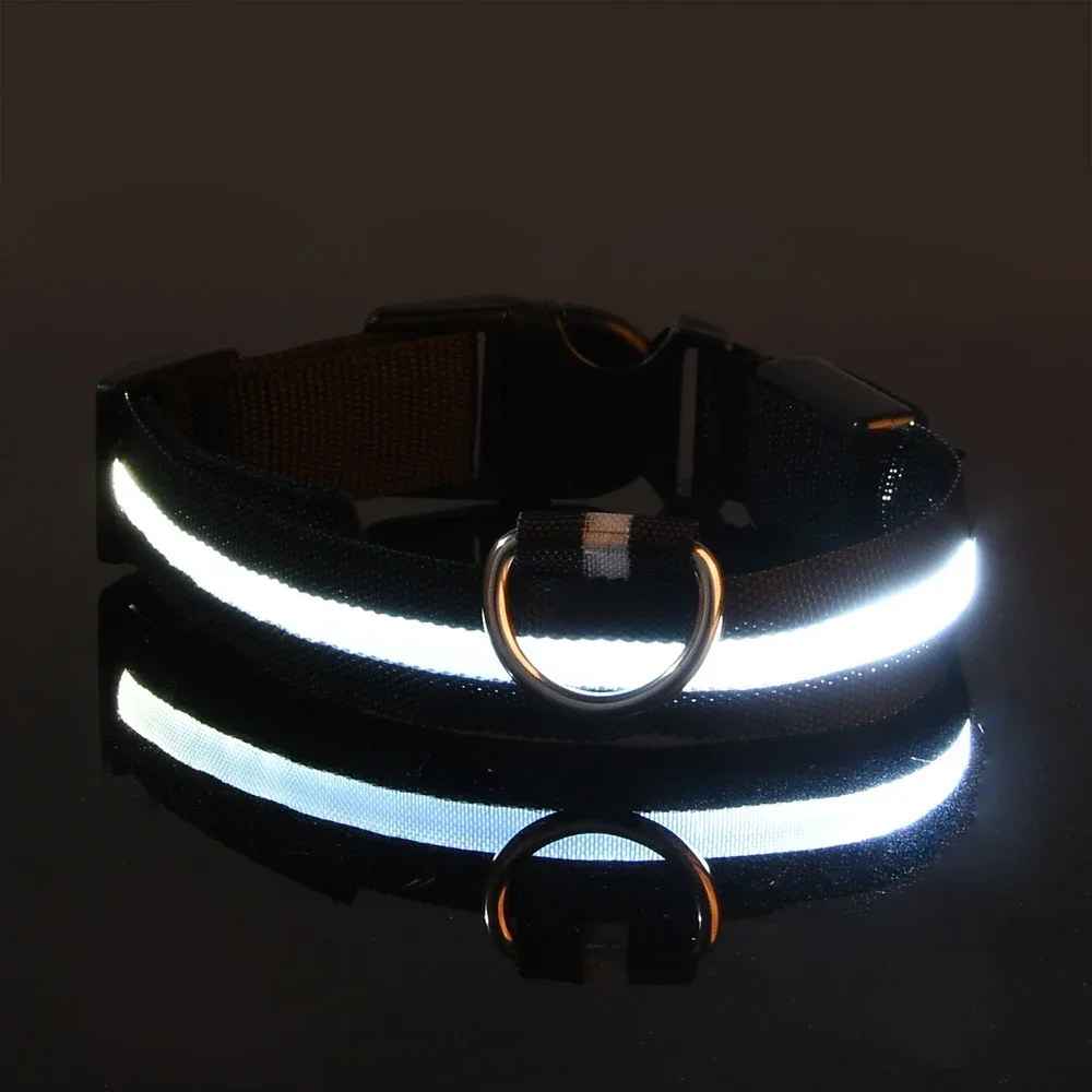 Collar de Nailon con Luz LED de Seguridad para Perros - Imagen 10