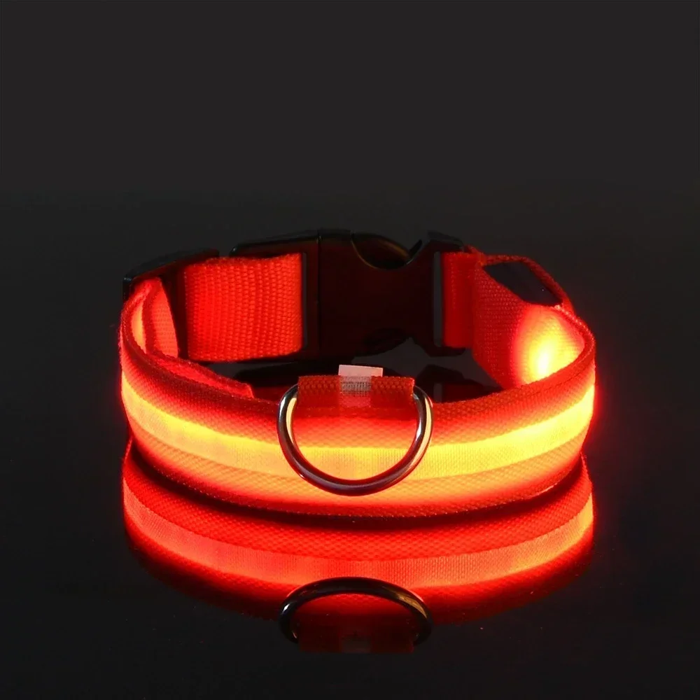 Collar de Nailon con Luz LED de Seguridad para Perros - Imagen 4
