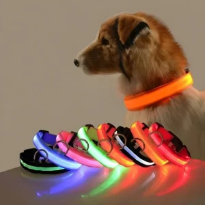 Collar de Nailon con Luz LED de Seguridad para Perros